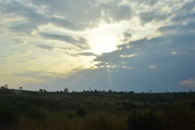 DSC_5395 (Large).JPG